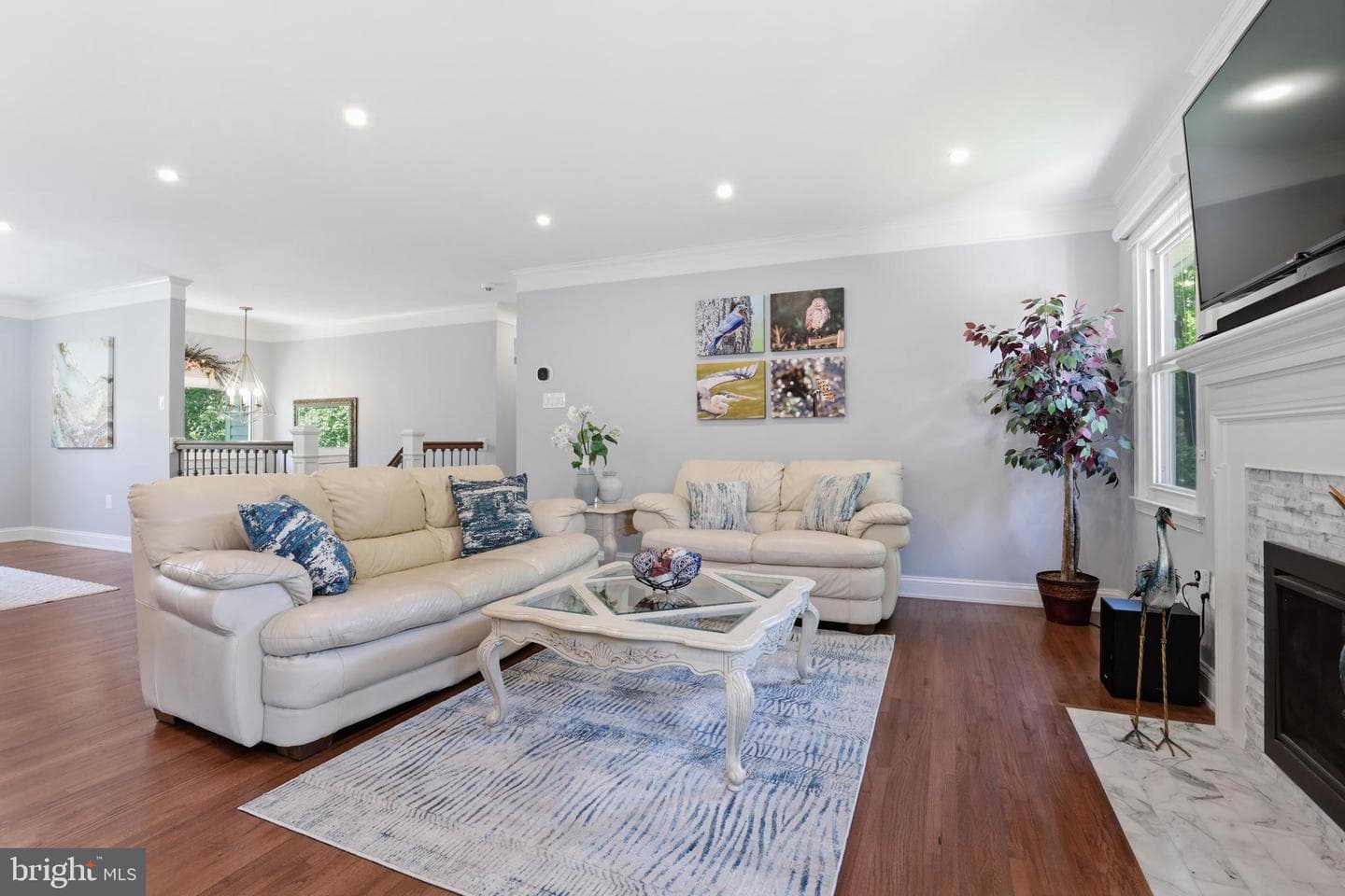 10106 Nadine Drive photo 7