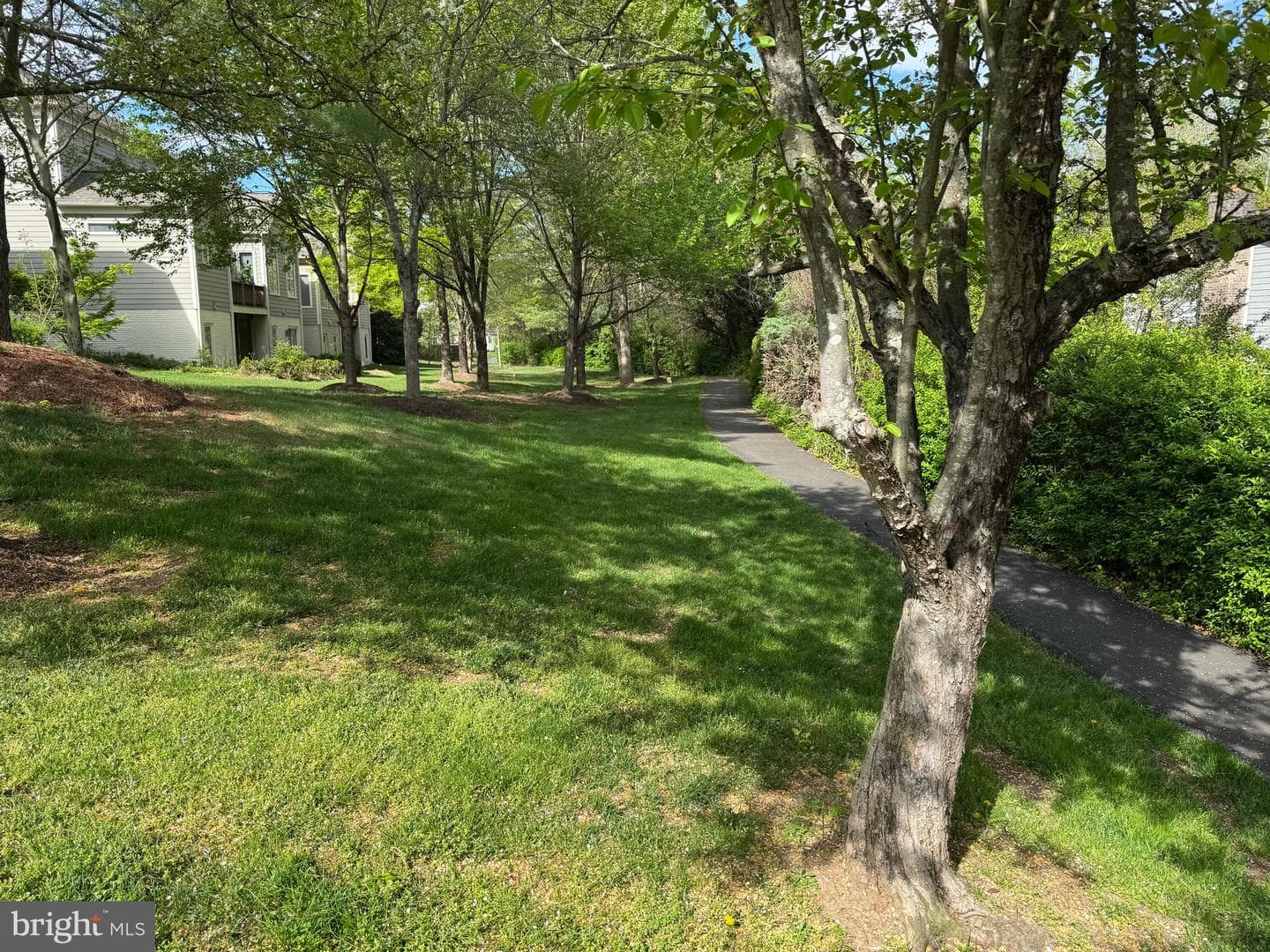 2925 Aran Court photo 32