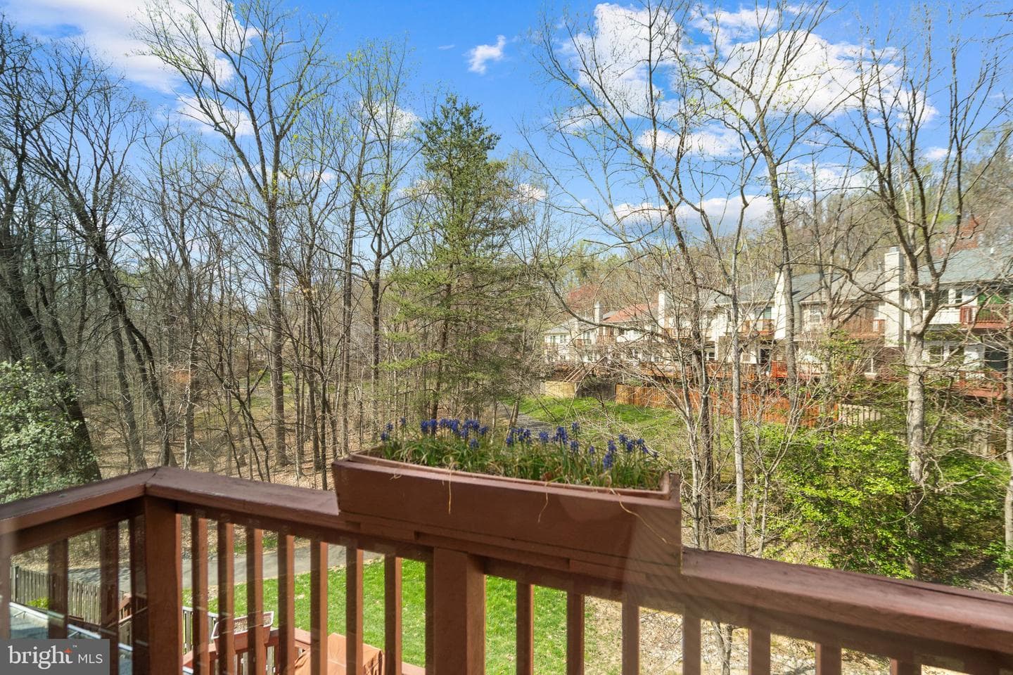 9012 Daum Court photo 46