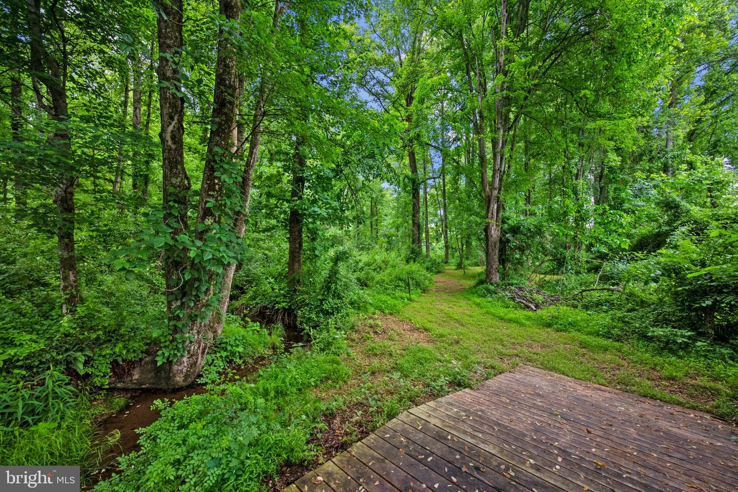 13112 Laurel Glen Road photo 38