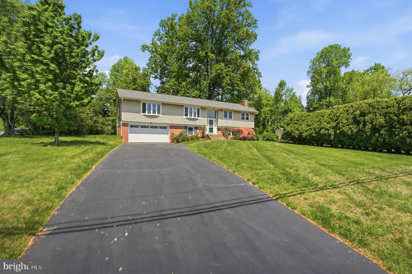 12106 Ruffin Drive photo 2