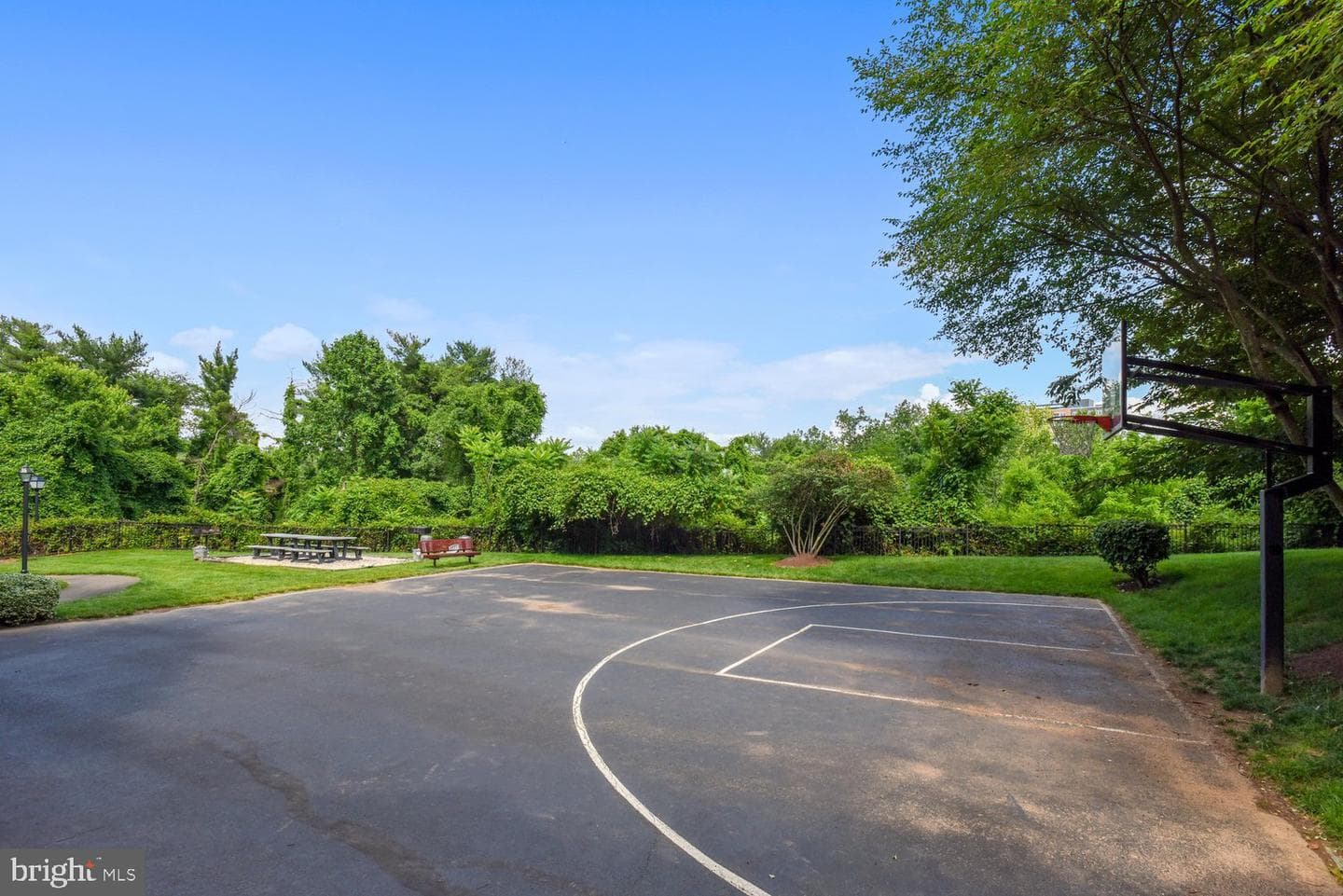 1521 Spring Gate Drive #10211 photo 31
