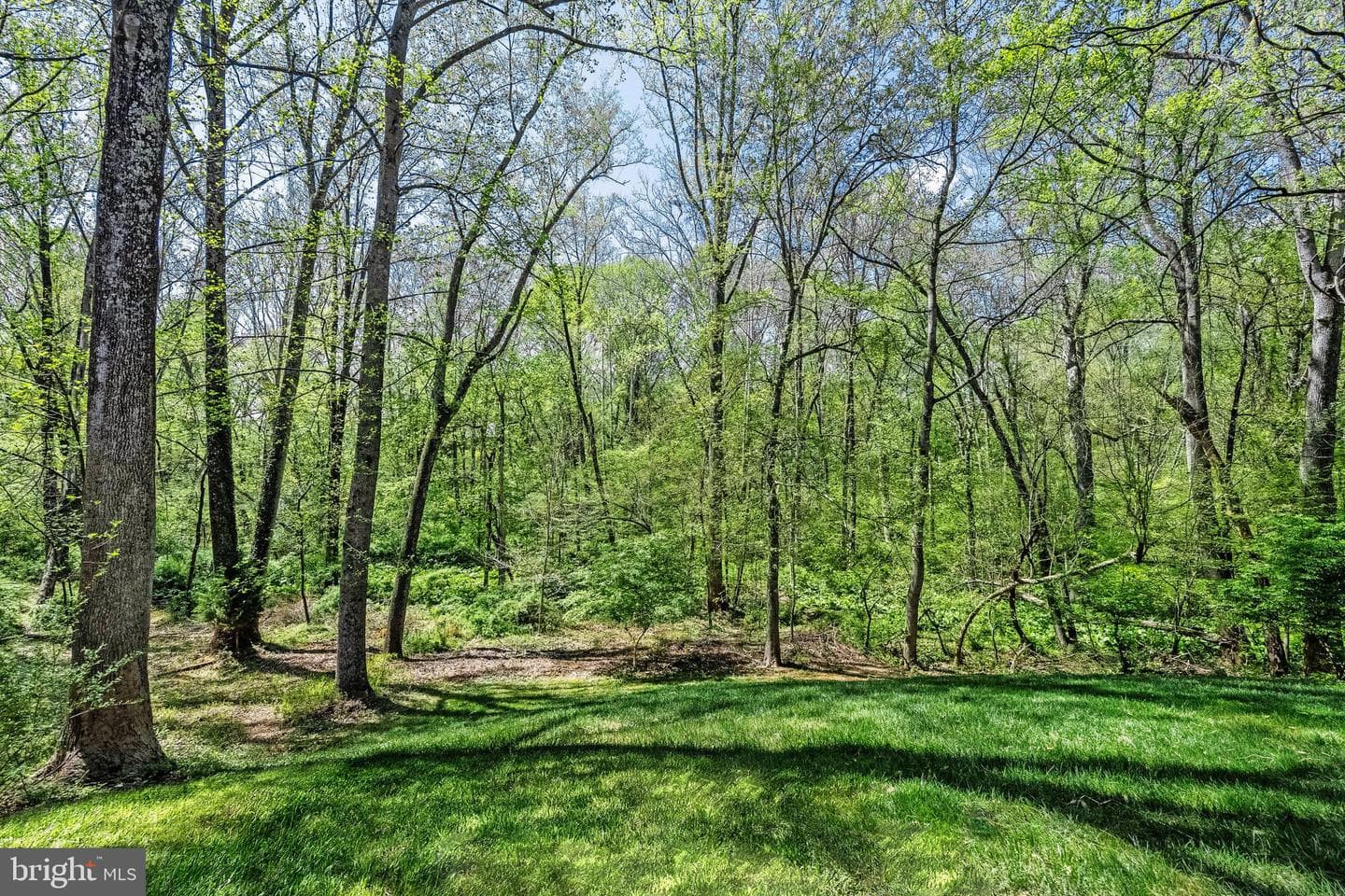 2906 Oakton Ridge Circle photo 41