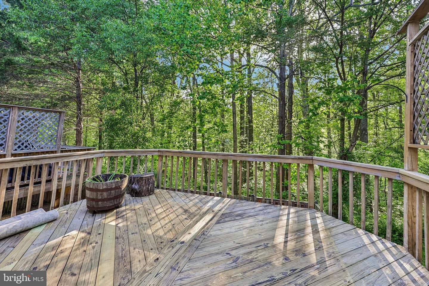 10209 Roberts Common Lane photo 29