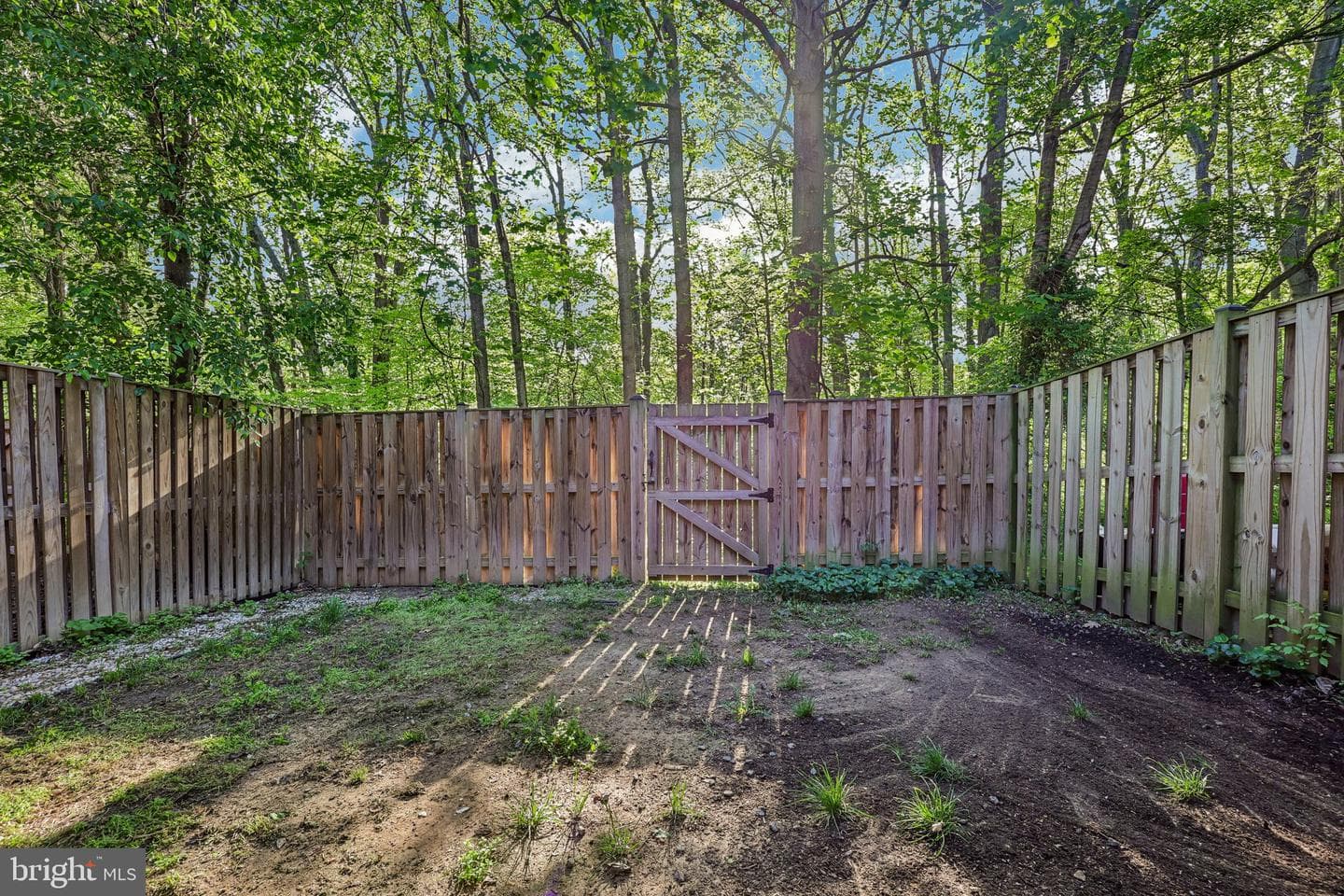 10209 Roberts Common Lane photo 31