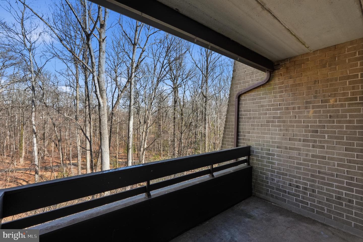 11566 Rolling Green Court #12/200a photo 24