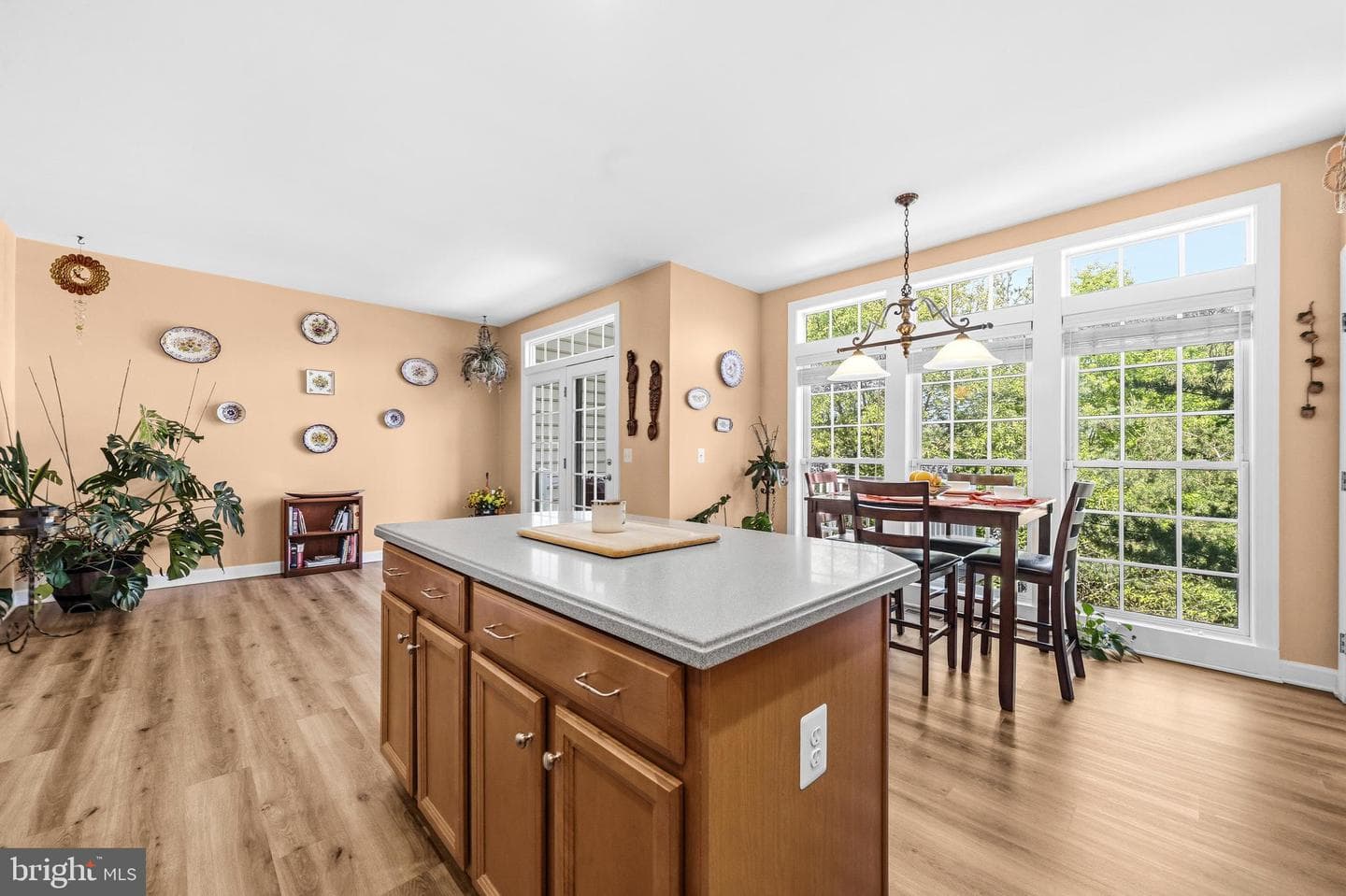 8058 Samuel Wallis Street photo 13