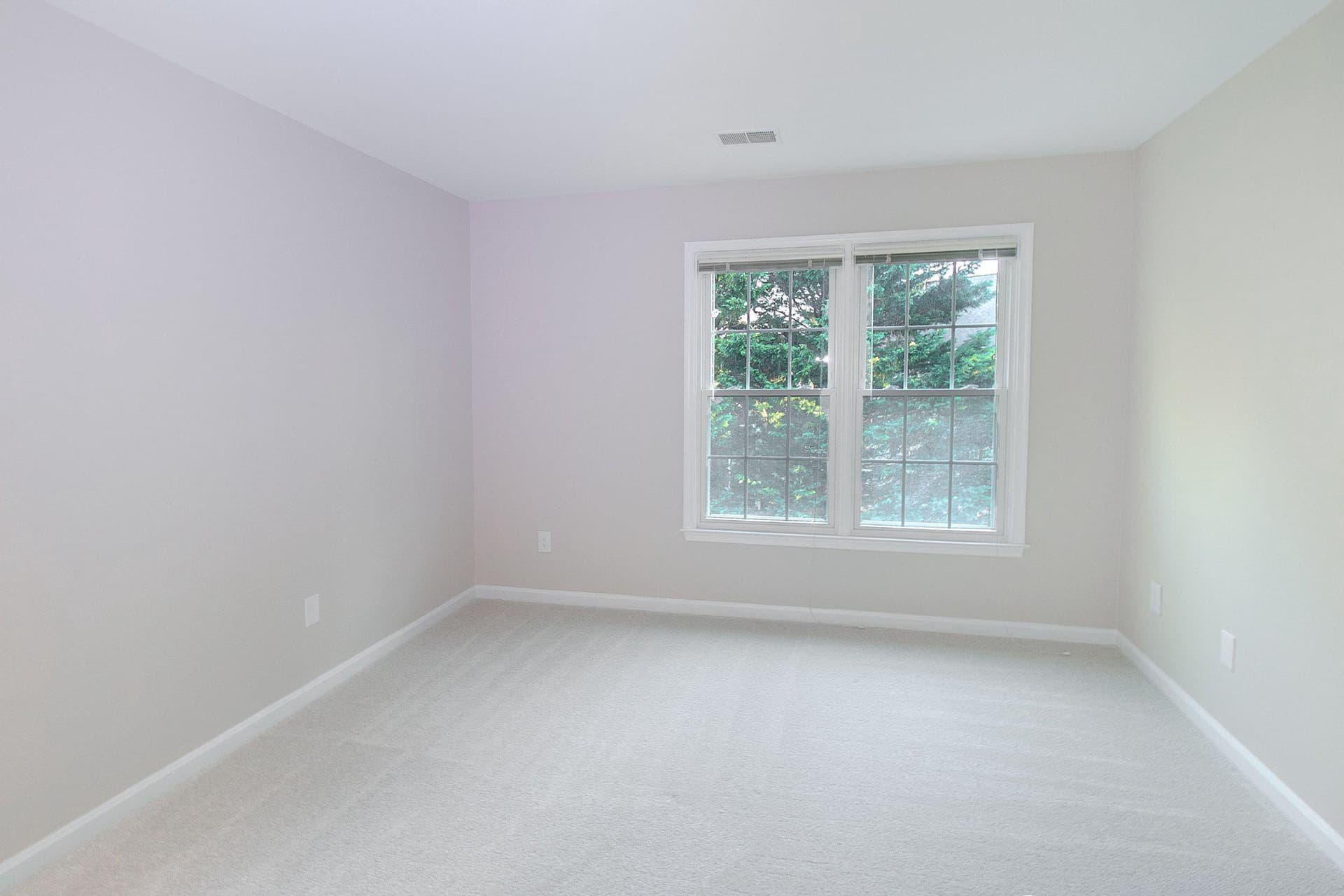 13897 Lewis Mill Way photo 52