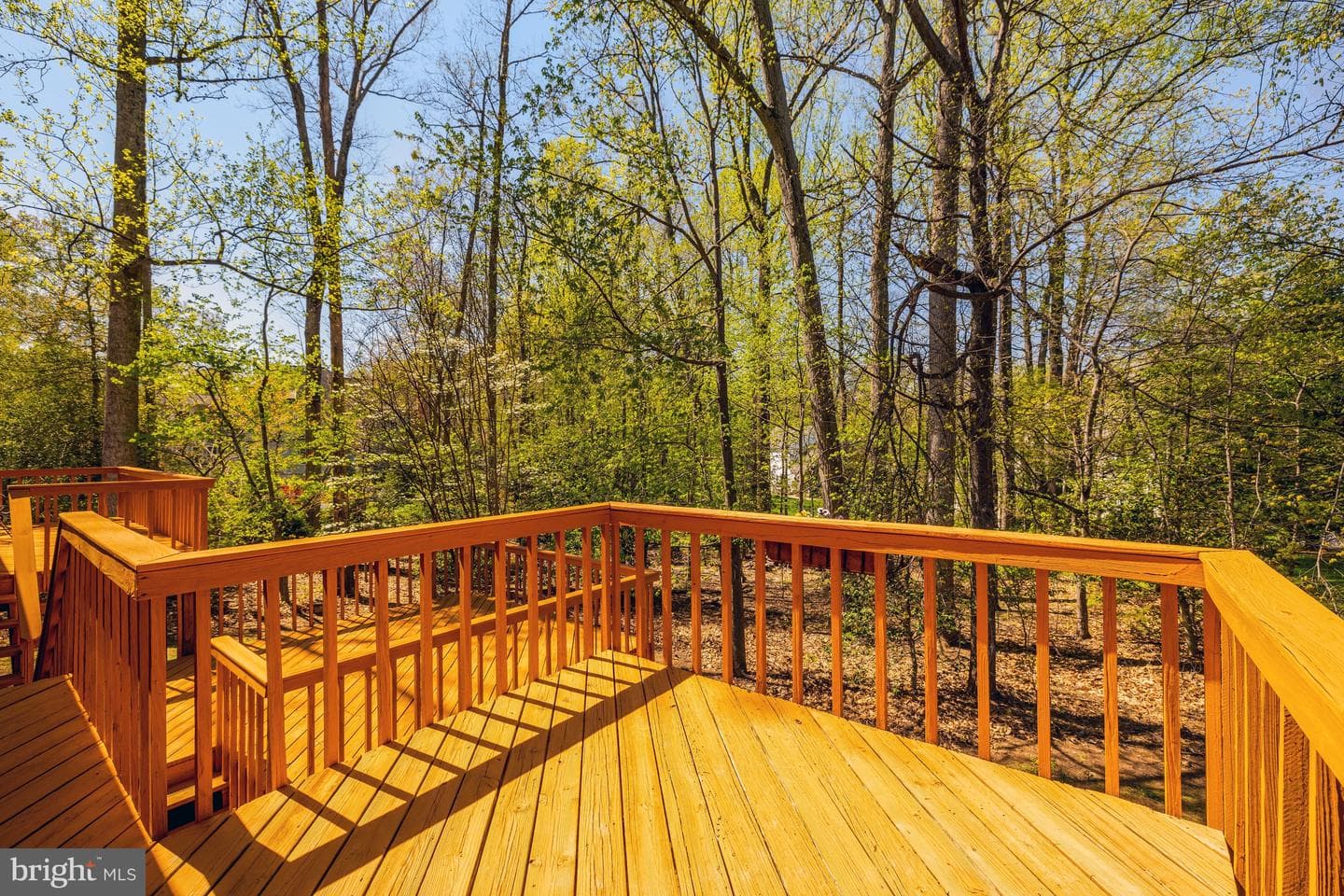 12186 Hickory Knoll Place photo 10