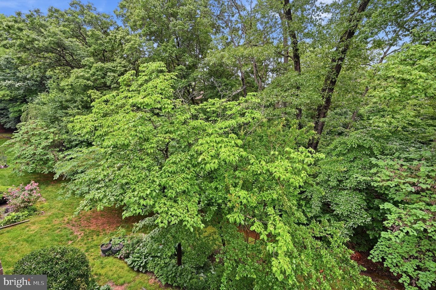 1659 Parkcrest Circle #301 photo 11