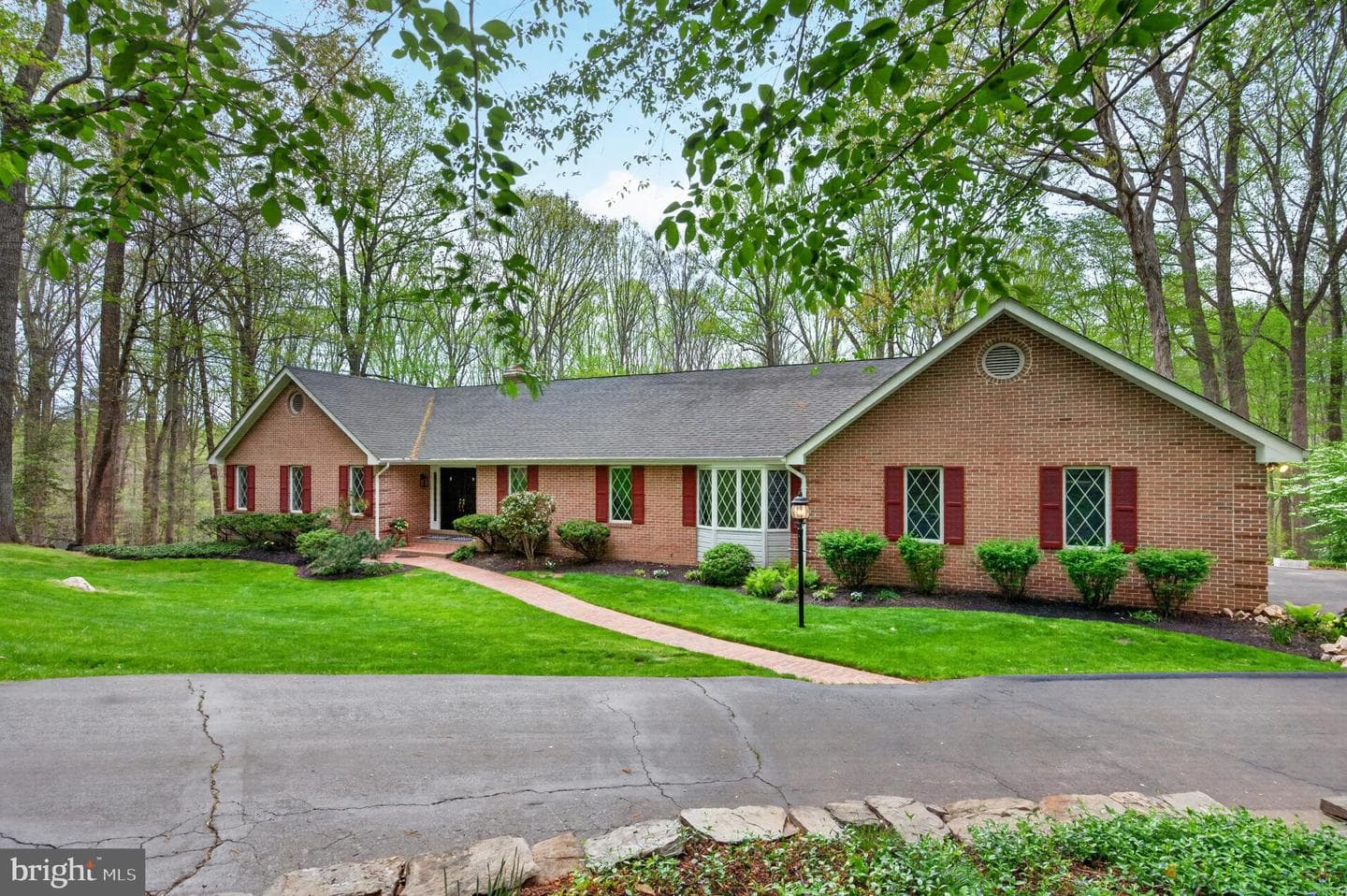 11720 Amkin Drive photo 3