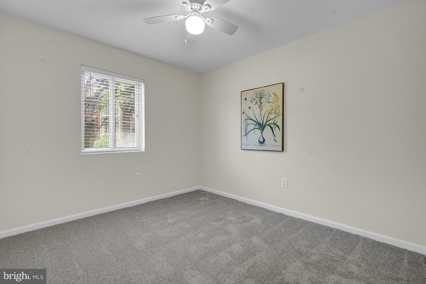 6426 Gildar Street photo 30