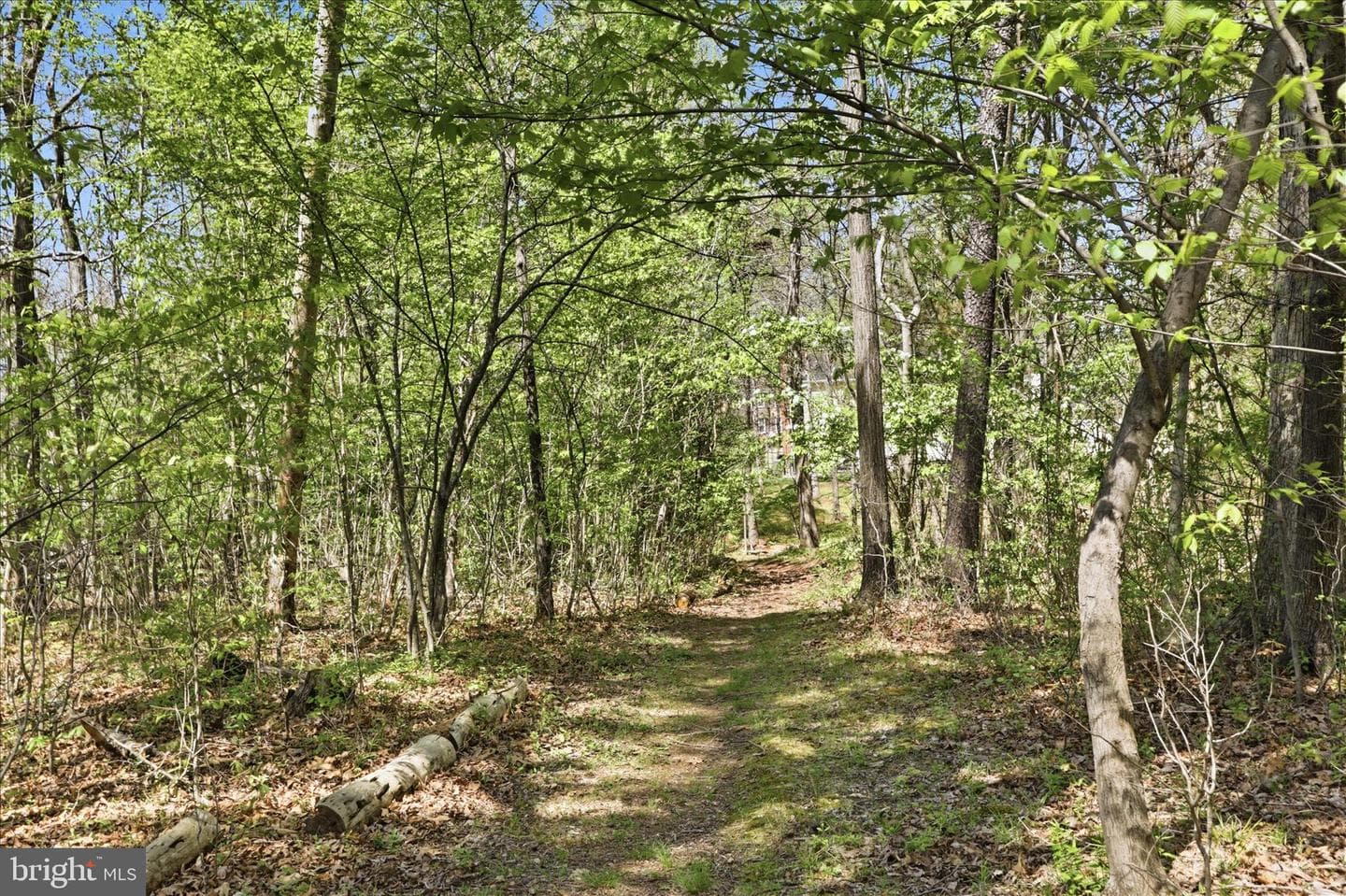 12131 Holly Knoll Circle photo 33