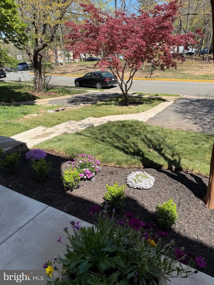 6302 Paddington Lane photo 32