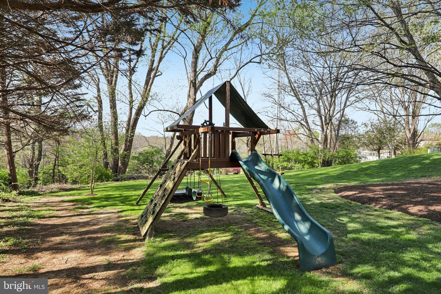 10305 Mountington Court photo 50