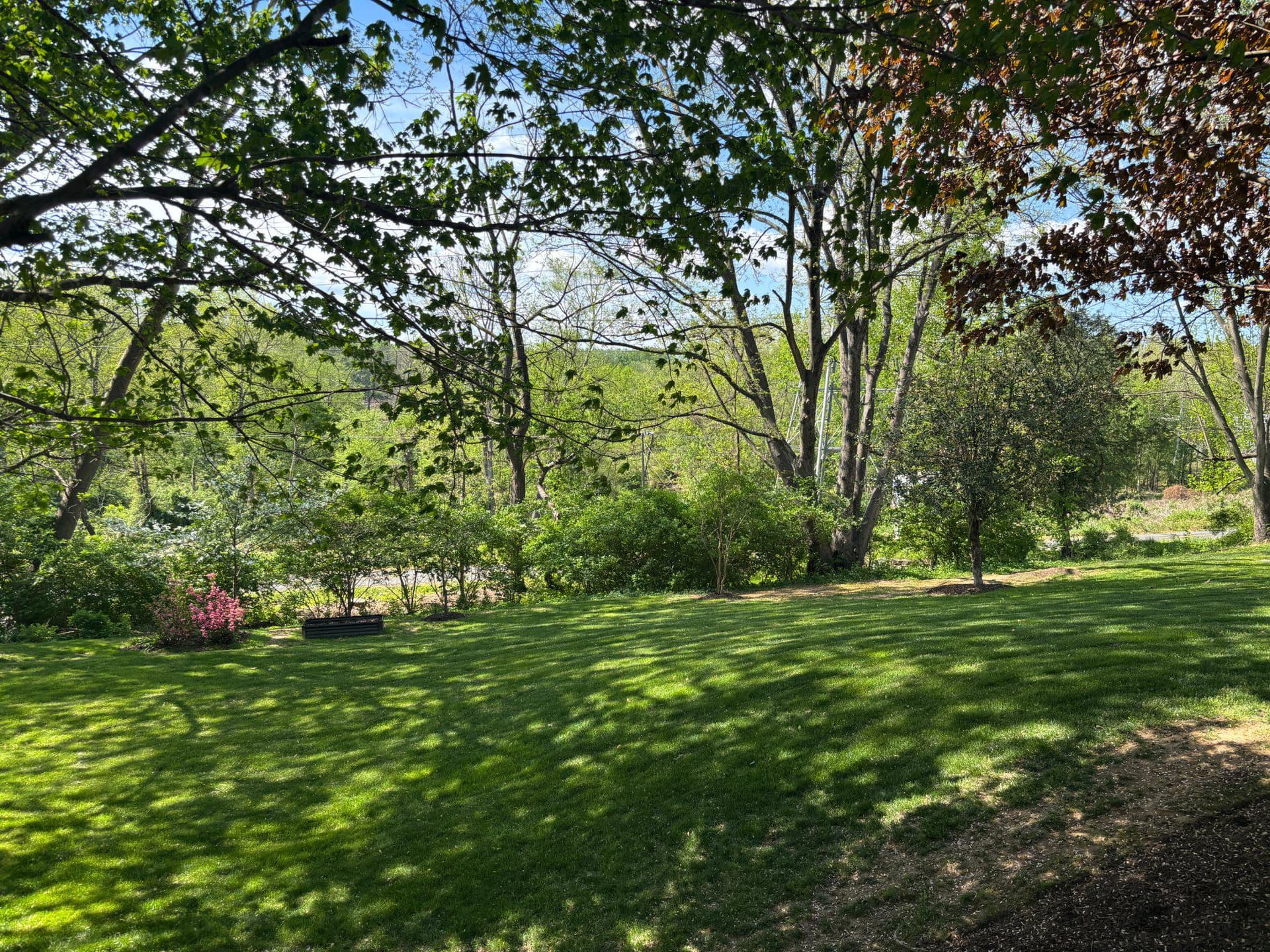 10305 Mountington Court photo 61