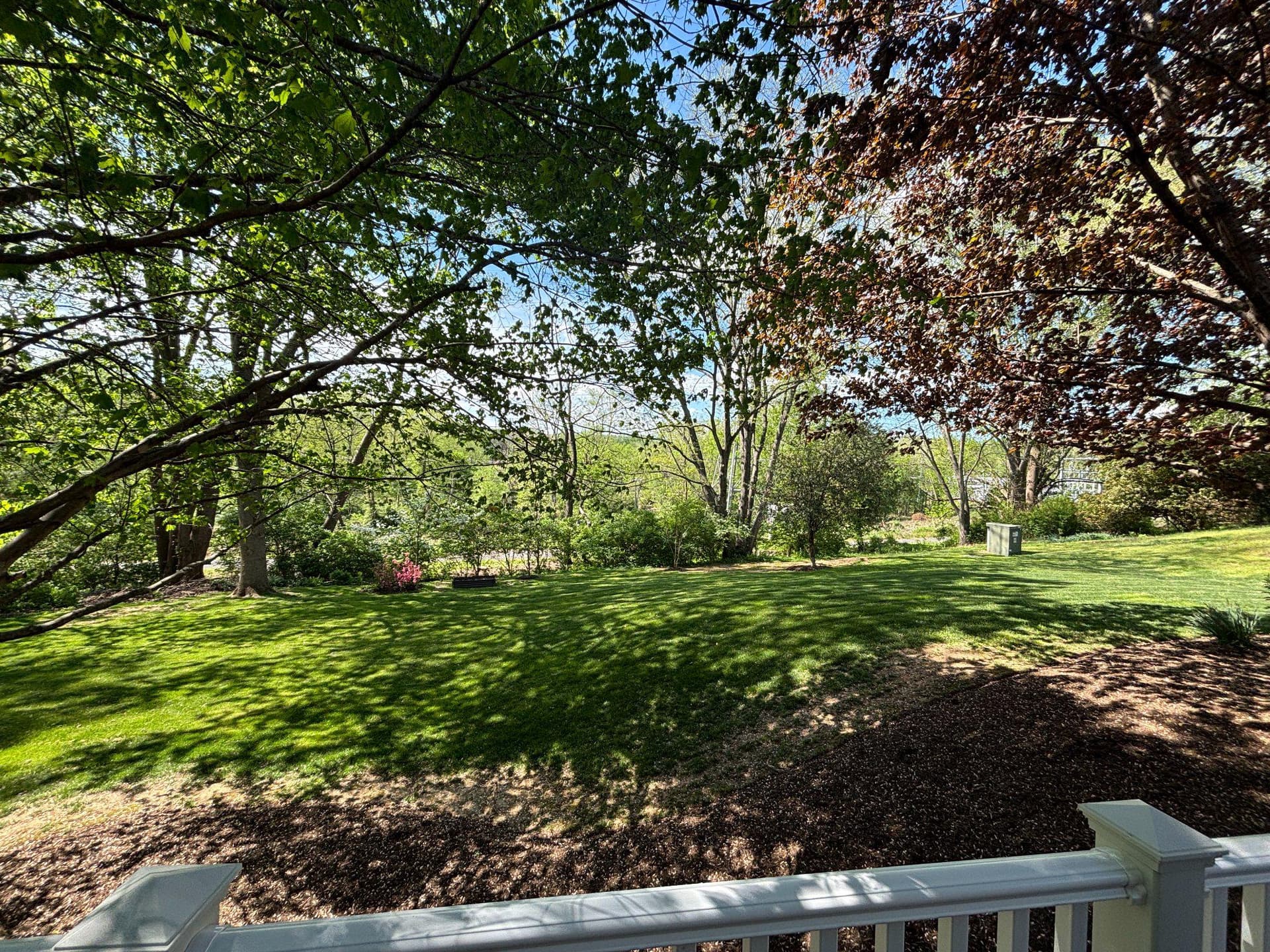 10305 Mountington Court photo 62