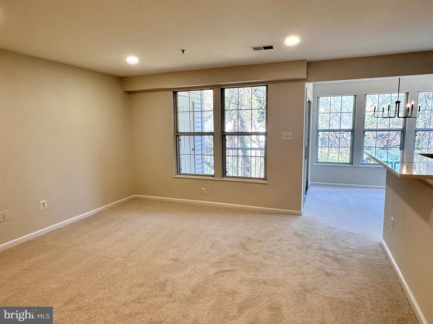 7528 Coxton Court #103 photo 10