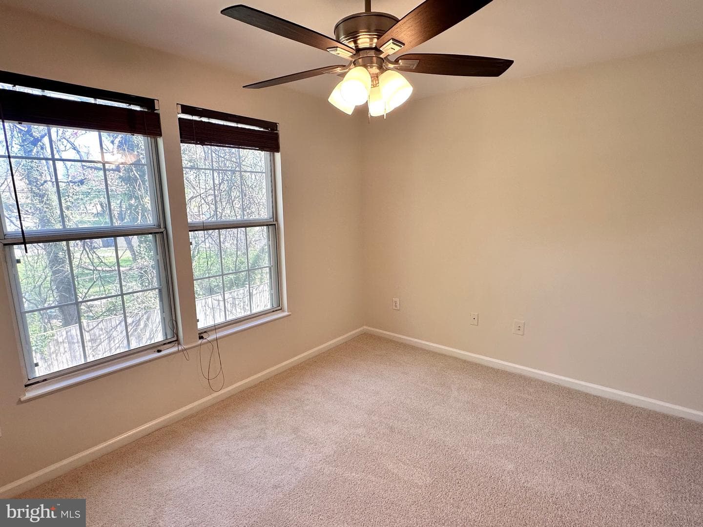 7528 Coxton Court #103 photo 14