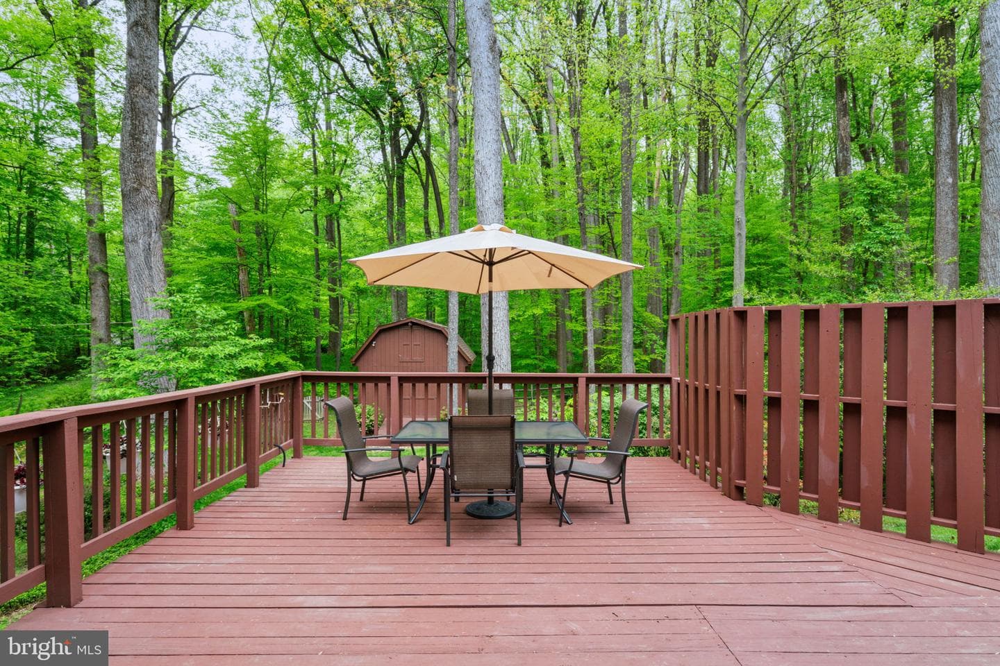 11810 Clara Way photo 44