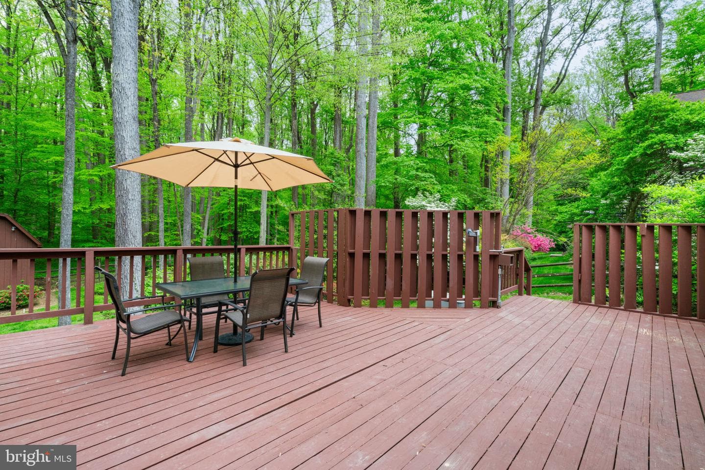 11810 Clara Way photo 45
