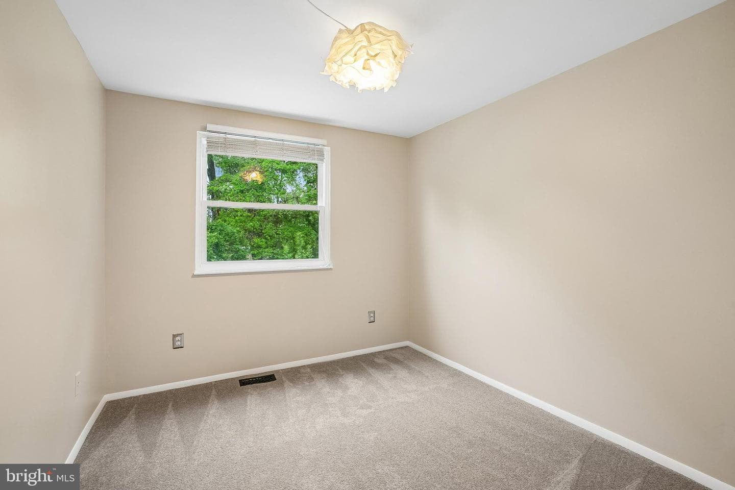 8236 Claremont Woods Drive photo 24