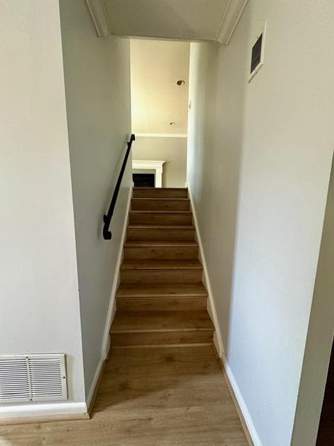 3302 Chicamuxen Court photo 22