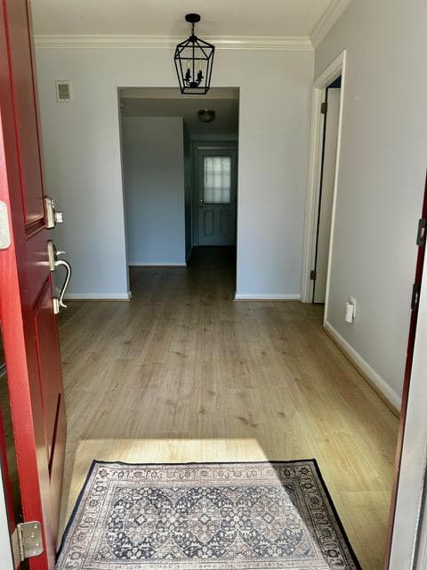 3302 Chicamuxen Court photo 33