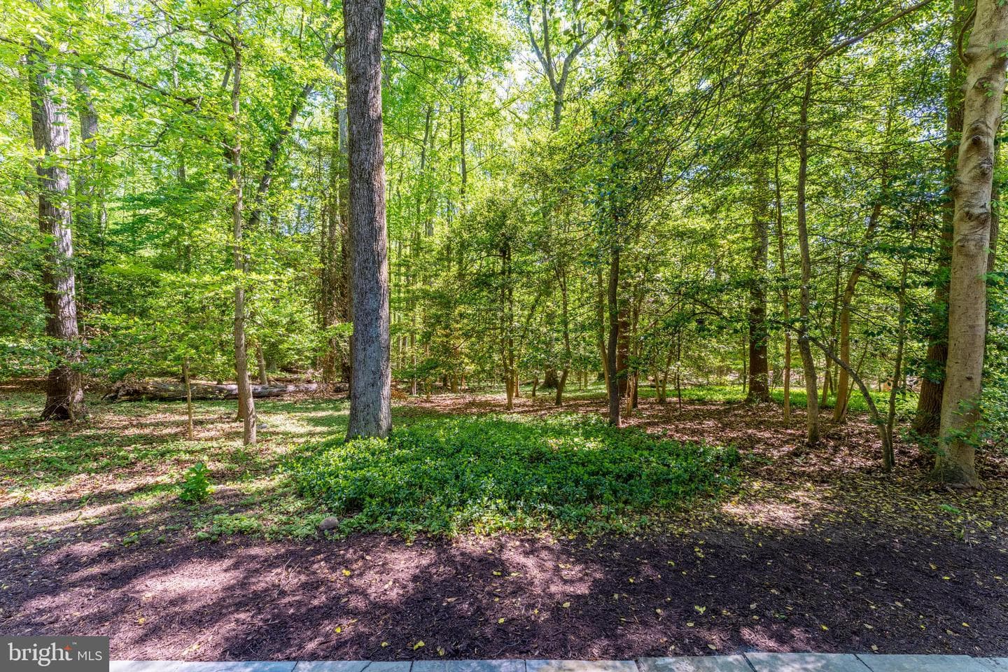 2515 Fowlers Lane photo 66