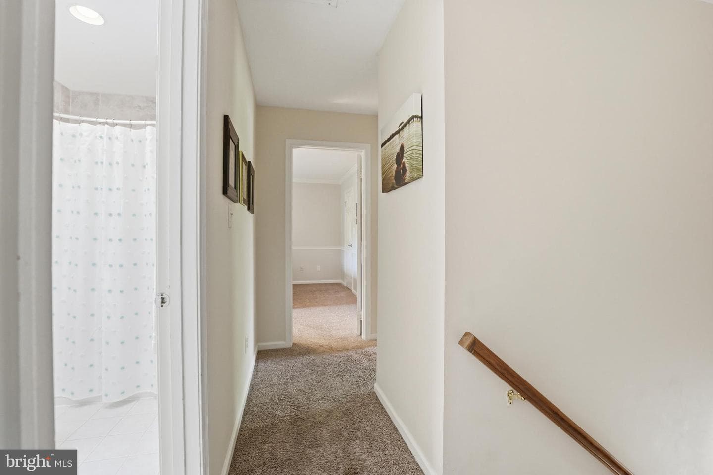 9215 Cork Place photo 22