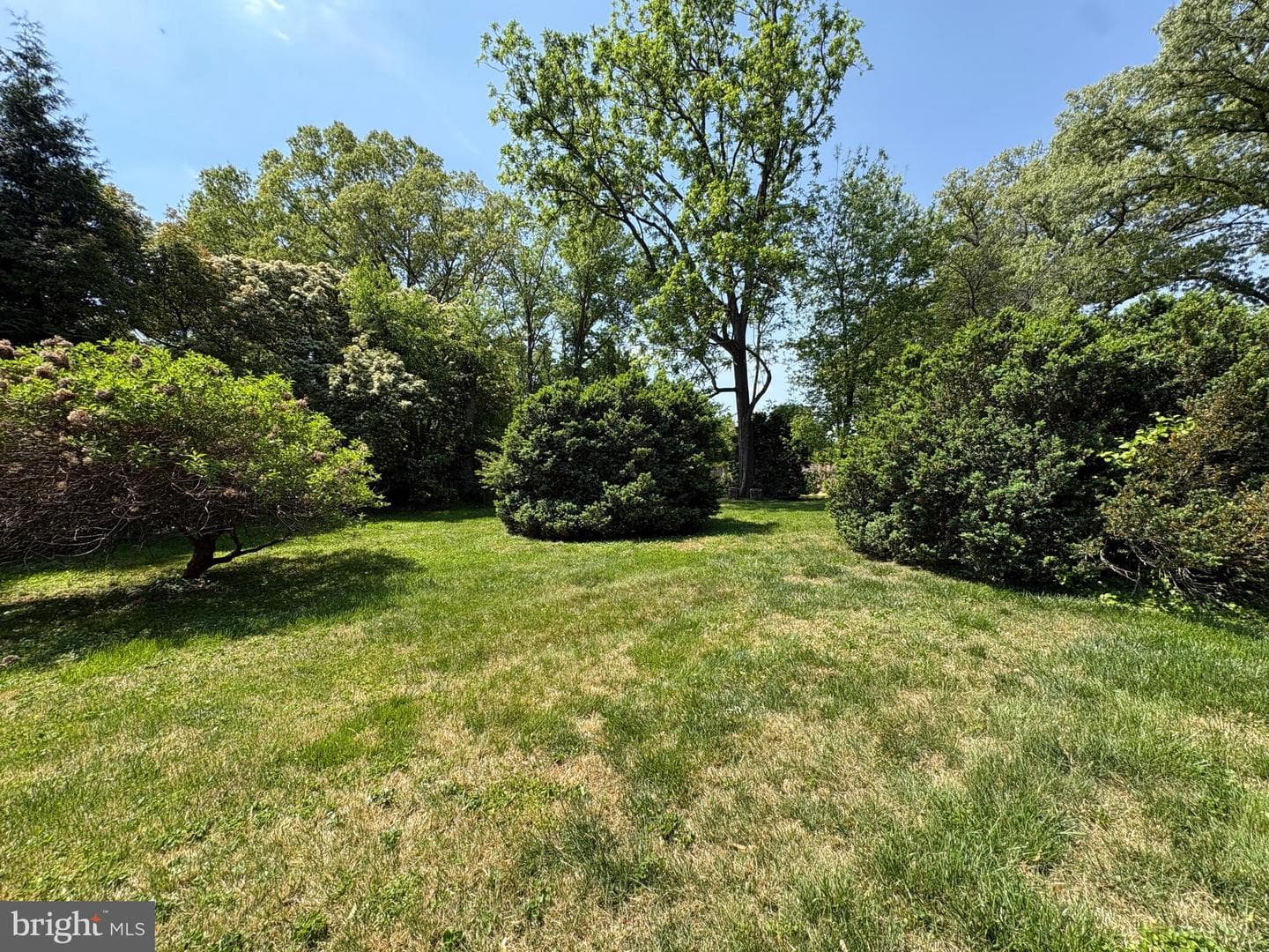 3911 Maury Place photo 32
