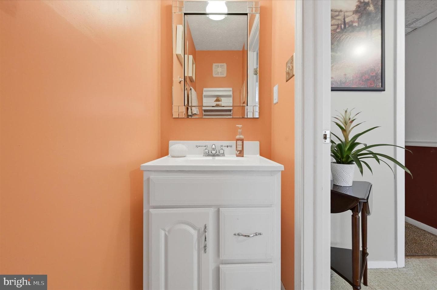 13336 Tannery Court photo 29