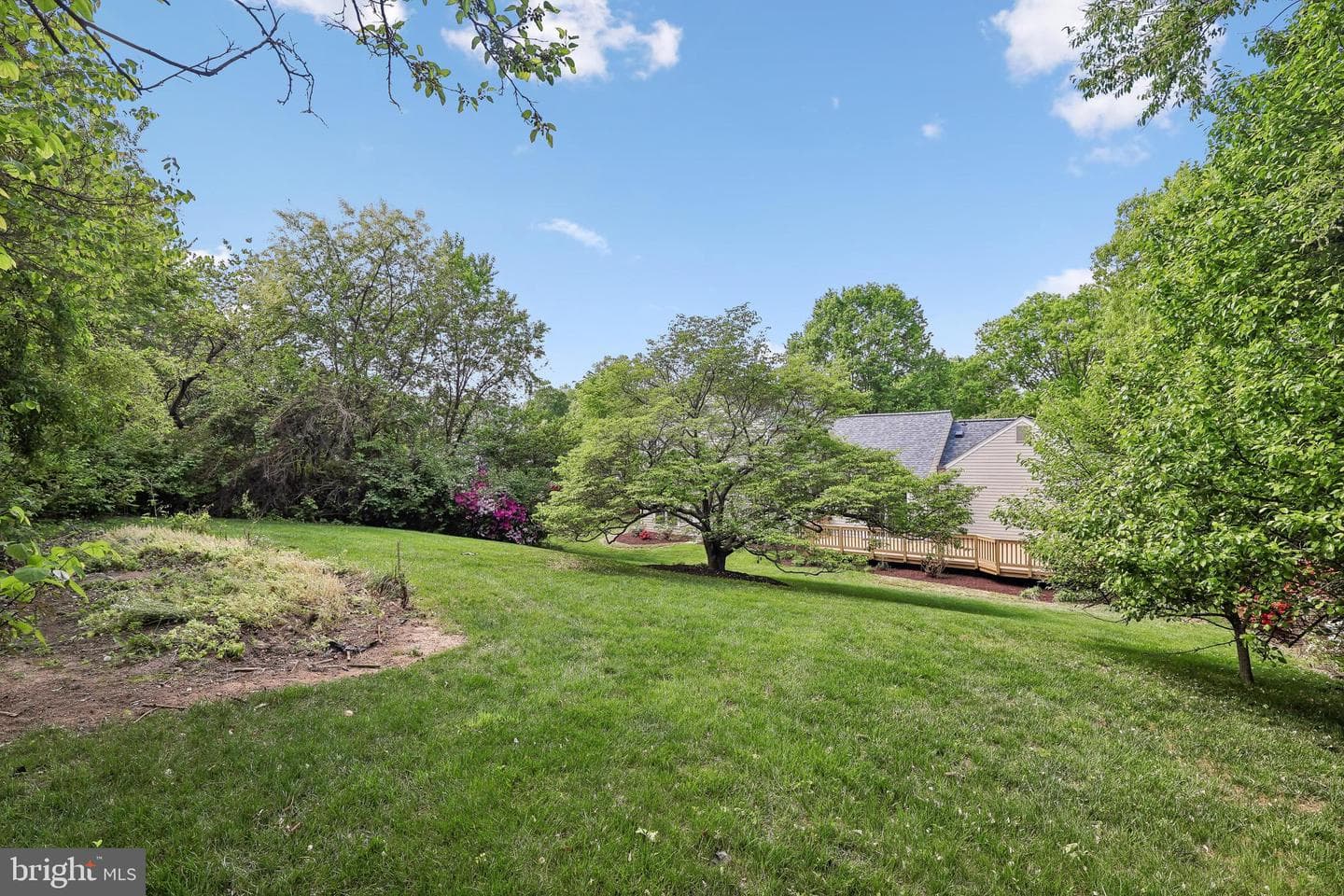 2701 Reign Street photo 52