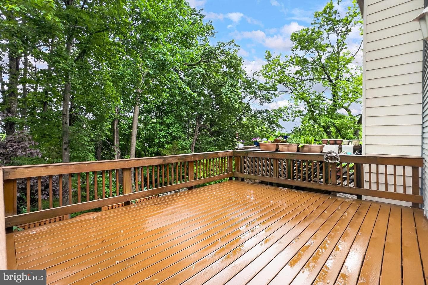 7451 Hatherleigh Court photo 42