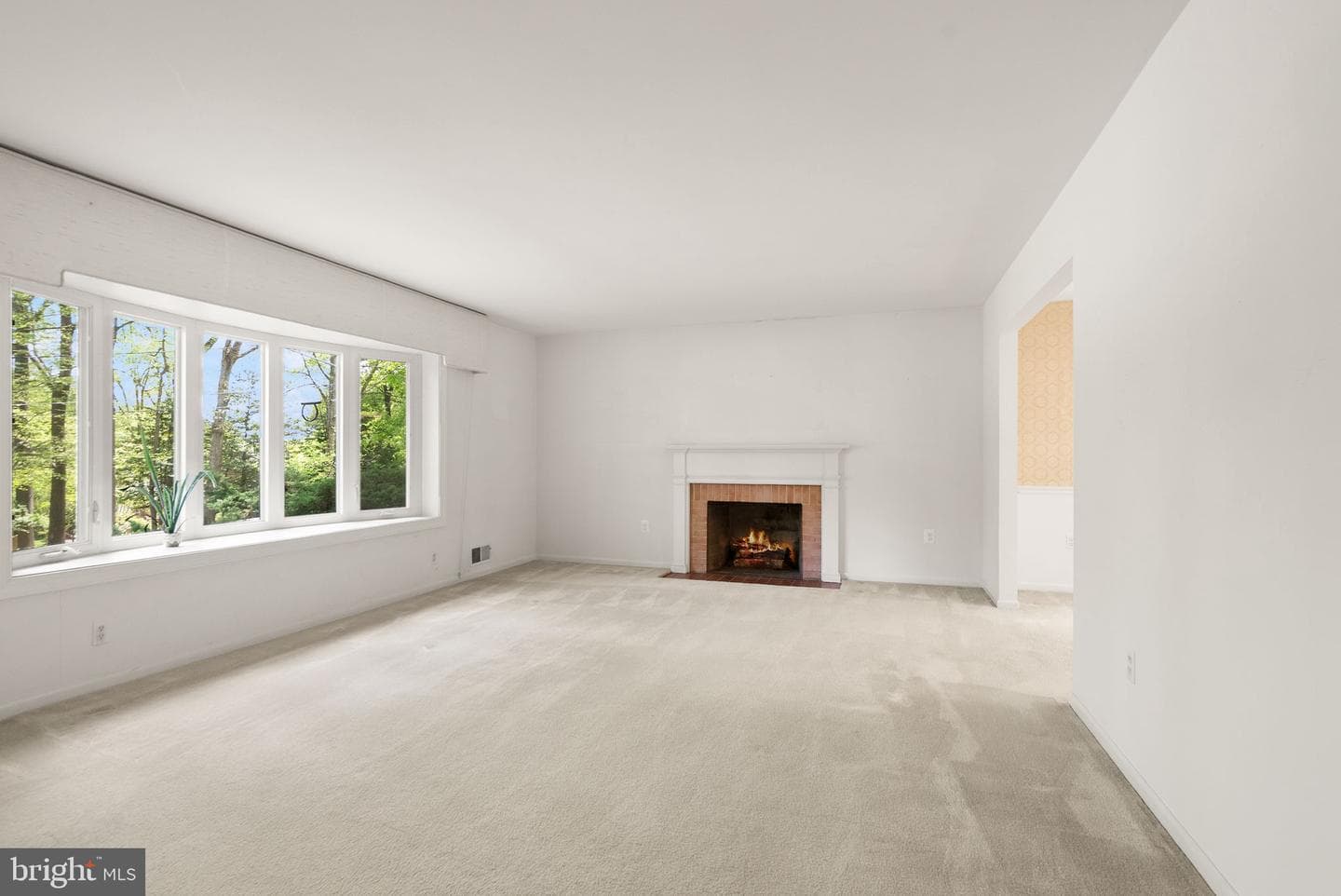 3702 Prado Place photo 8