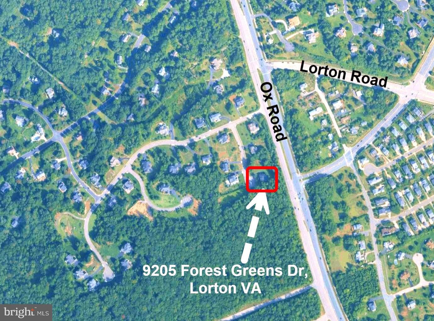 9205 Forest Greens Drive photo 11
