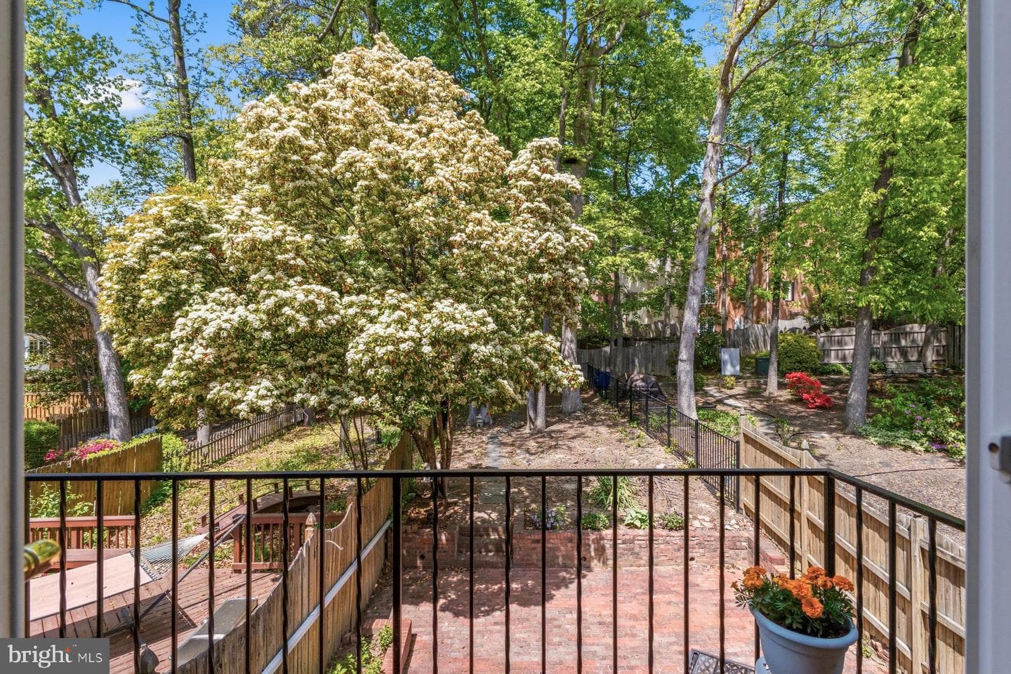 8240 Taunton Place photo 31