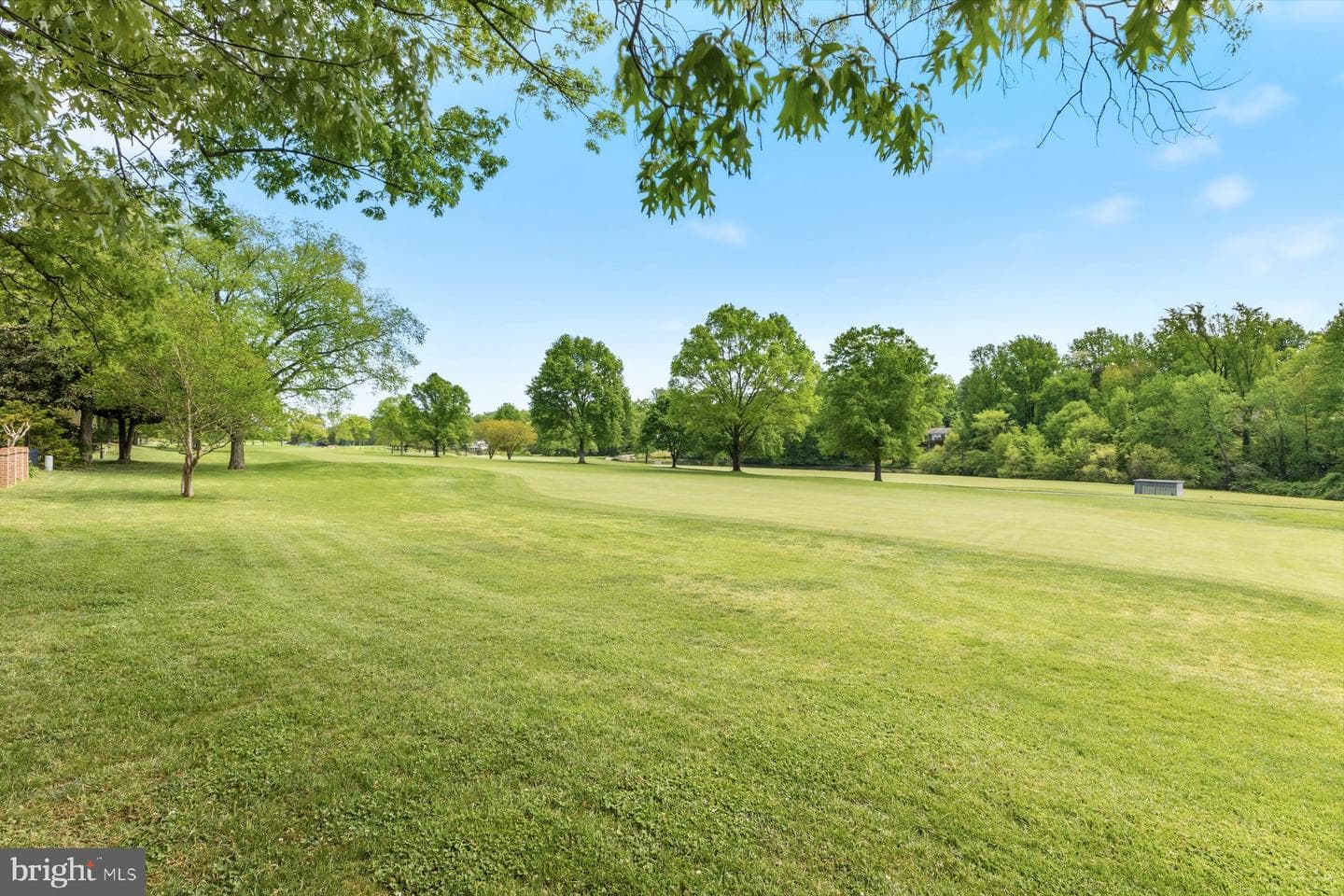 8240 Taunton Place photo 43