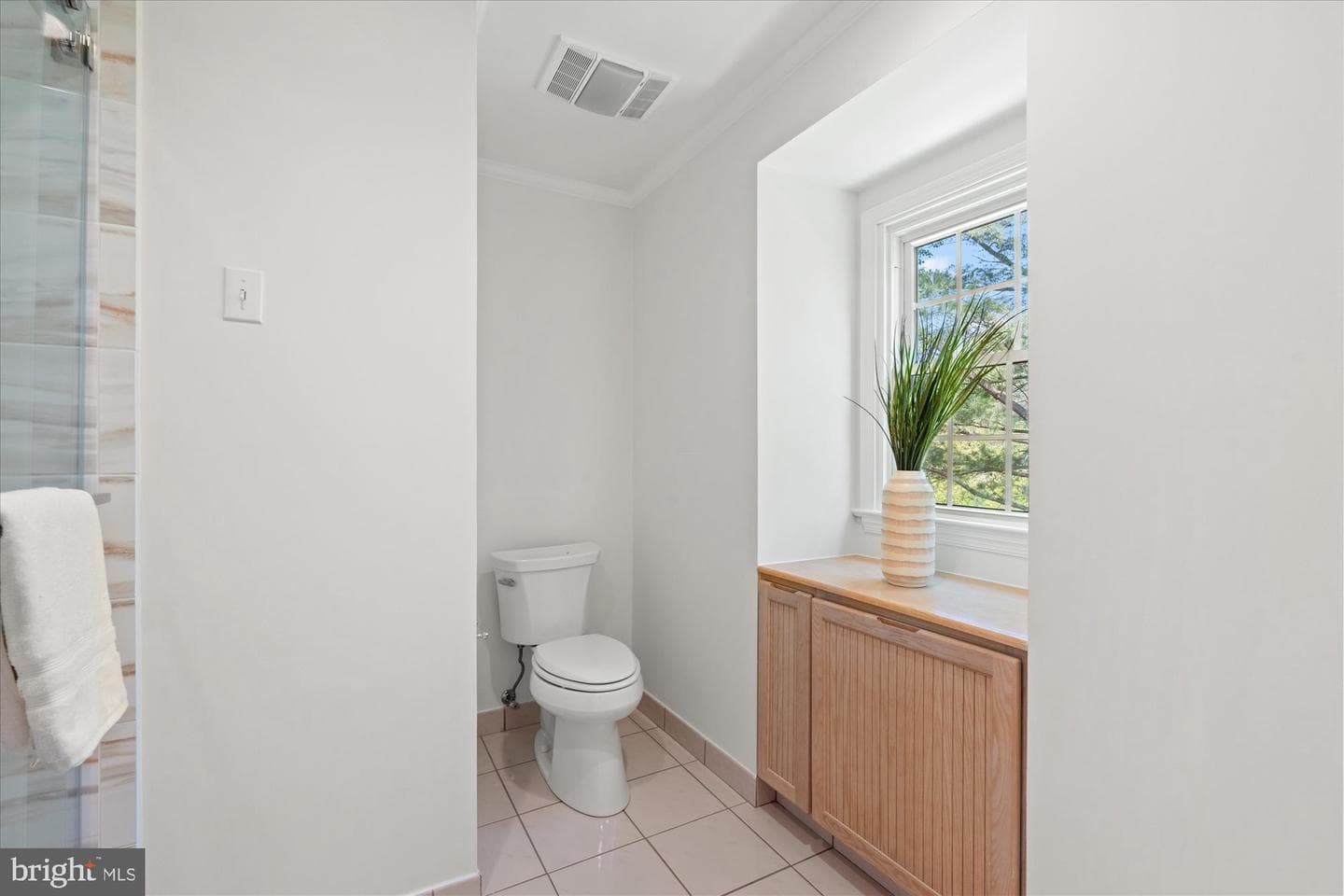 1732 Chesterford Way photo 23