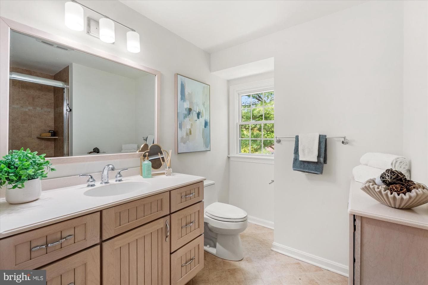 1732 Chesterford Way photo 26