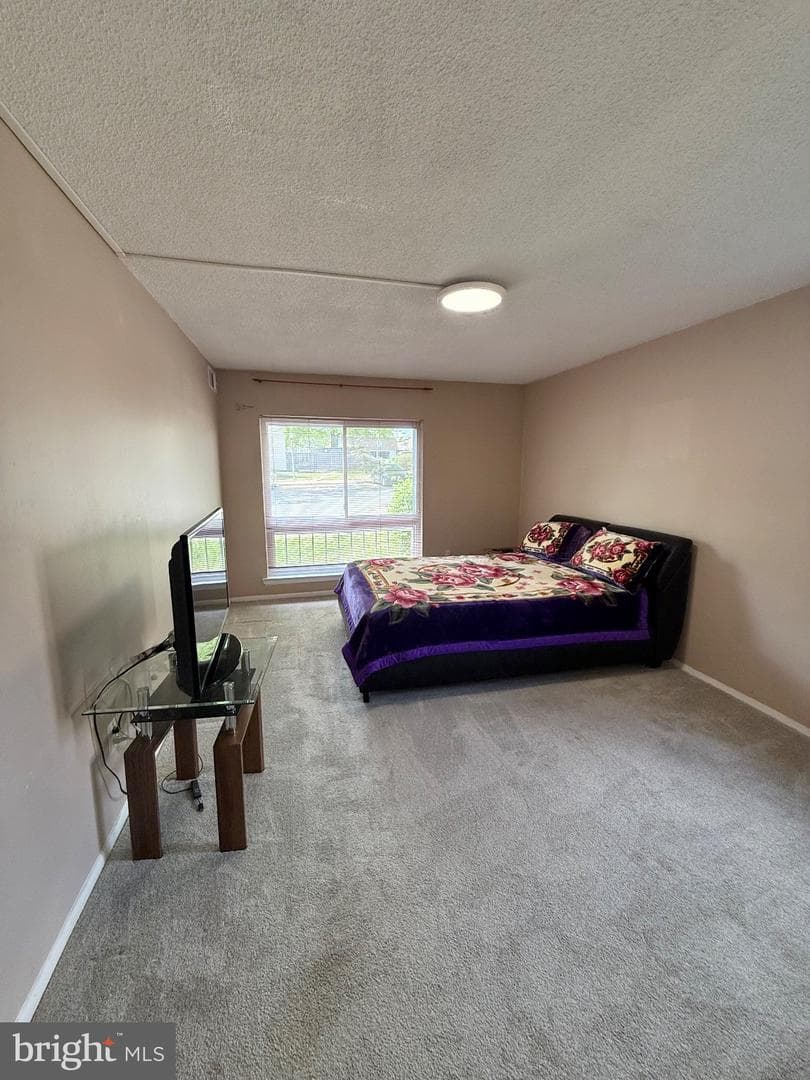 3810 Laramie Place photo 7