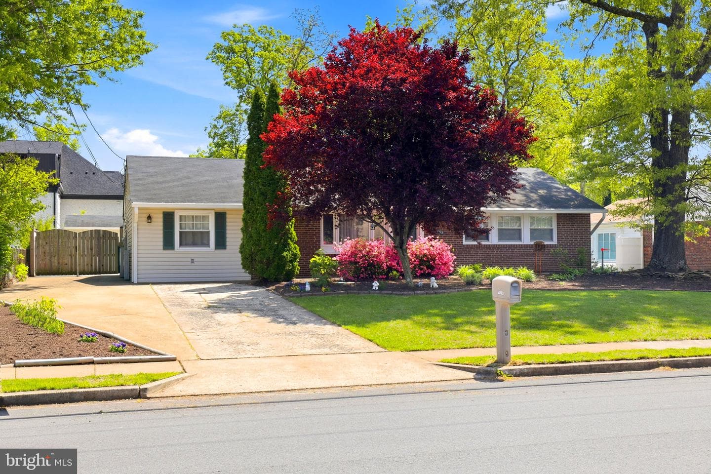 14703 Carlbern Dr photo 3