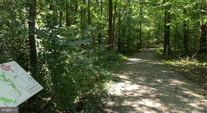 7033 Solomon Seal Court photo 44