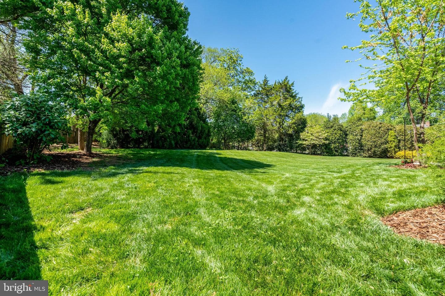 4510 Rhett Lane photo 3