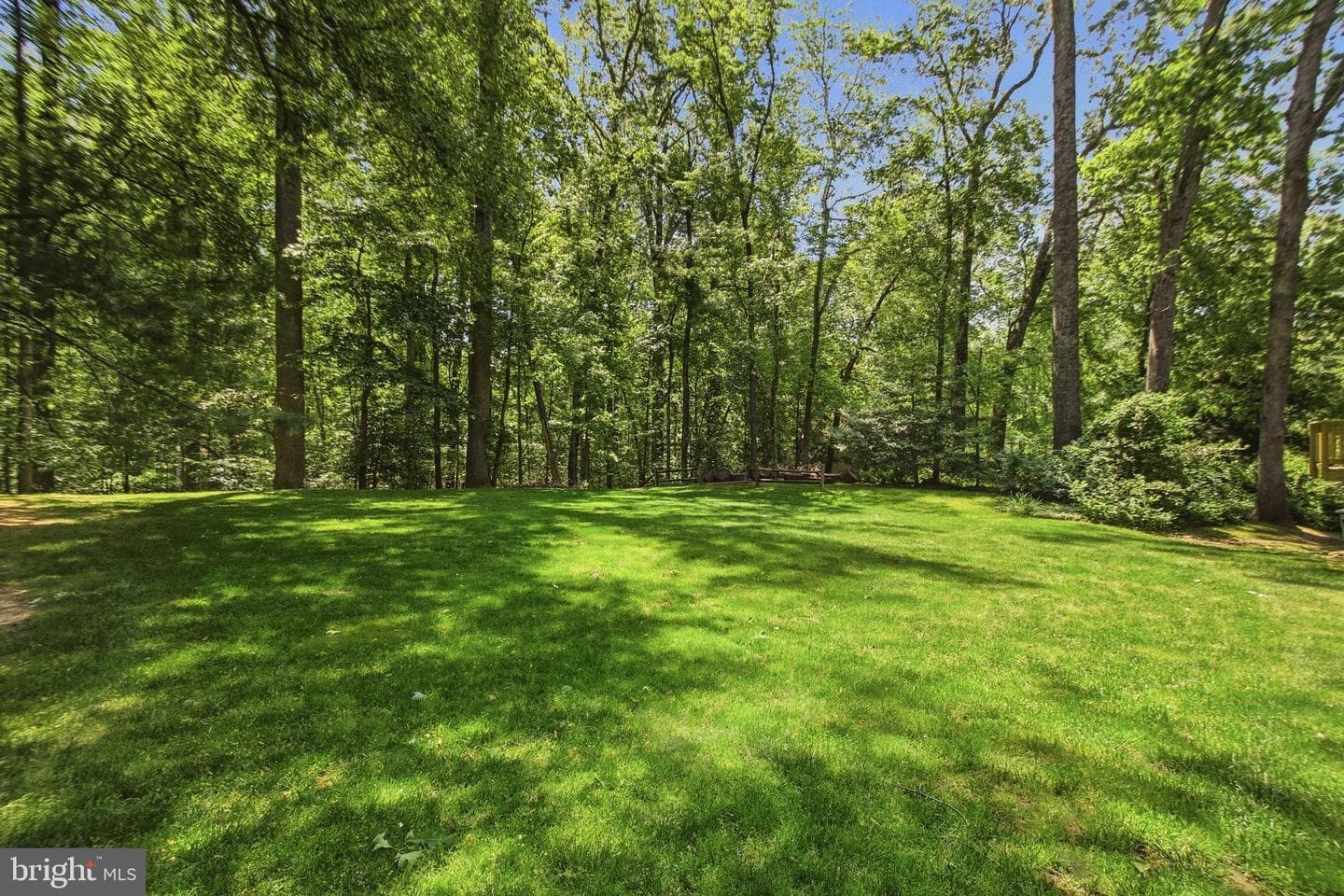 6423 John Jackson Court photo 44