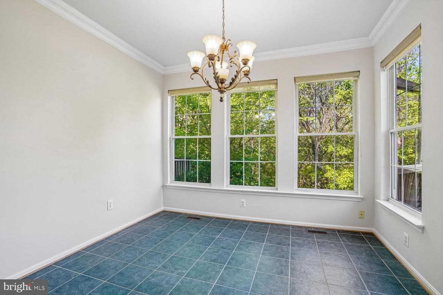 4666 Flatlick Branch Drive photo 9