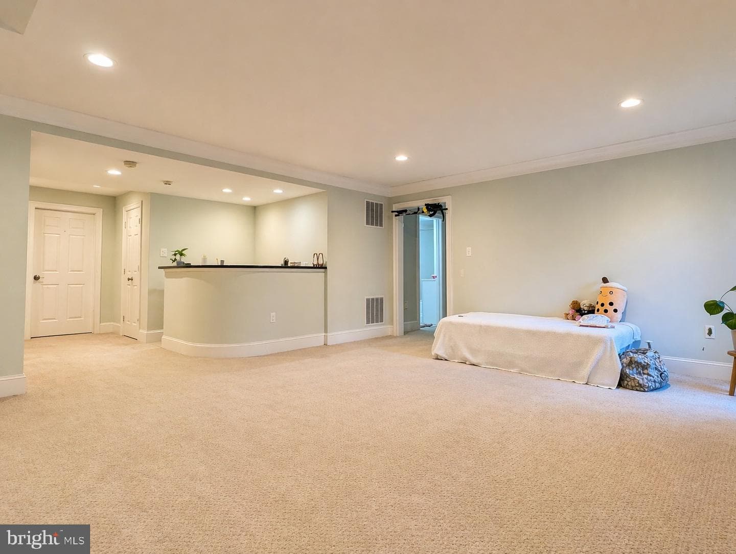 2029 Mayfair Mclean Court photo 41