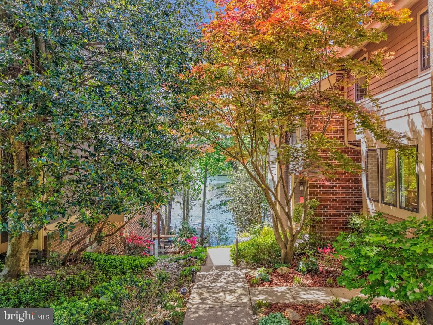 11024 Thrush Ridge Road photo 3