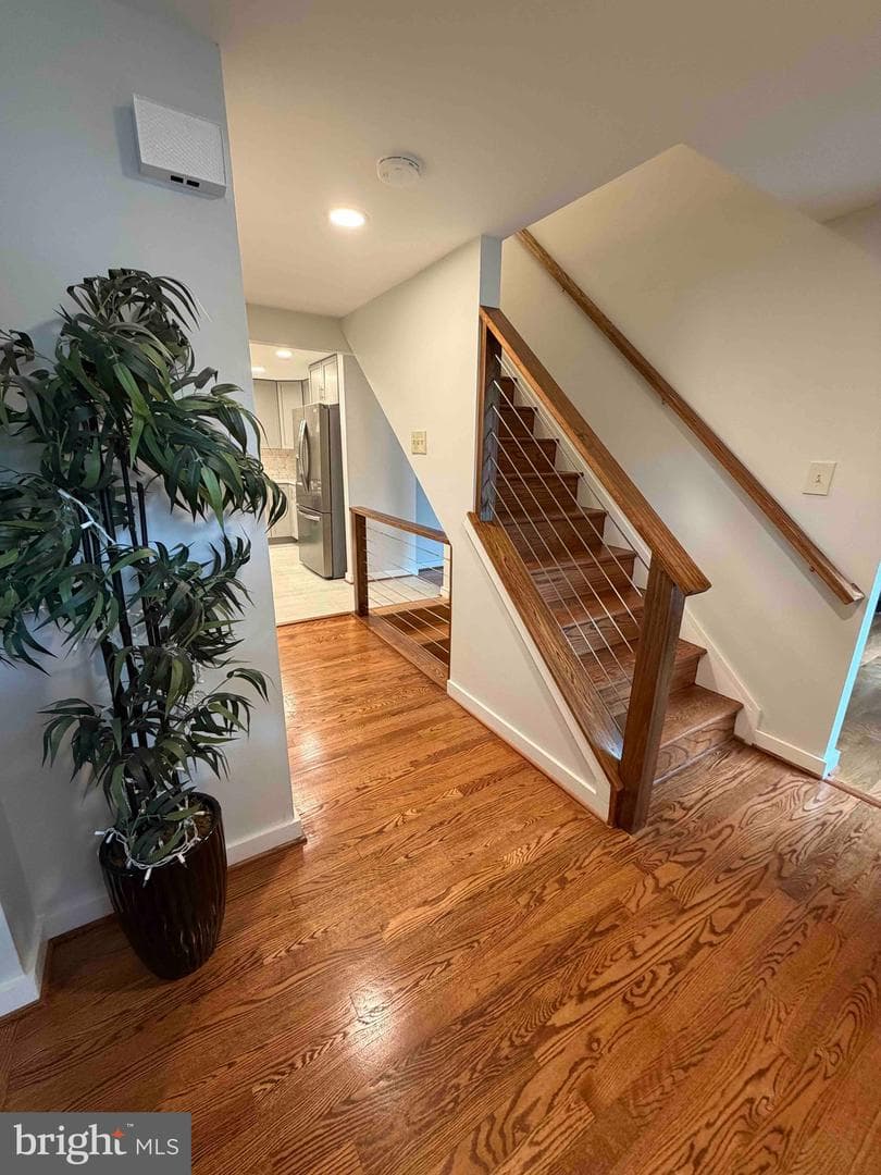 2283 Dosinia Court photo 12
