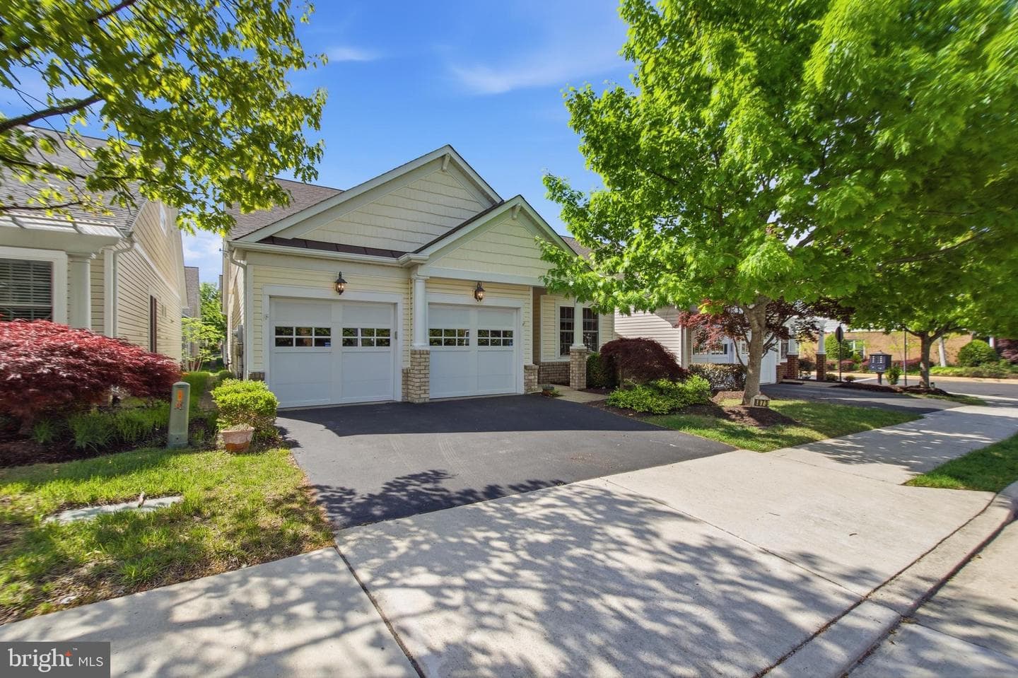 8873 White Orchid Place photo 3